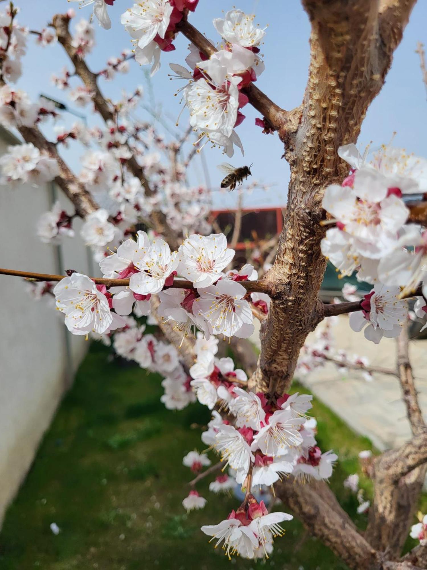 Casa Lucan 브라쇼브 외부 사진
